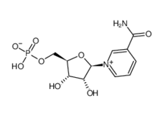 CAS No.1094-61-7 selective Beta-Nicotinamide Mononucleotide
